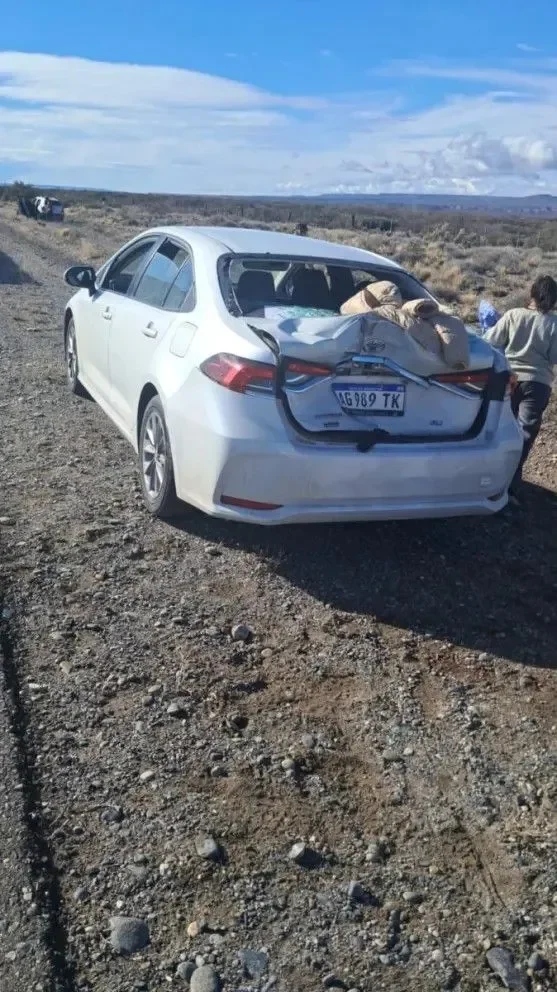 Accidente en Ruta 237 deja un herido y complica el tránsito en la zona