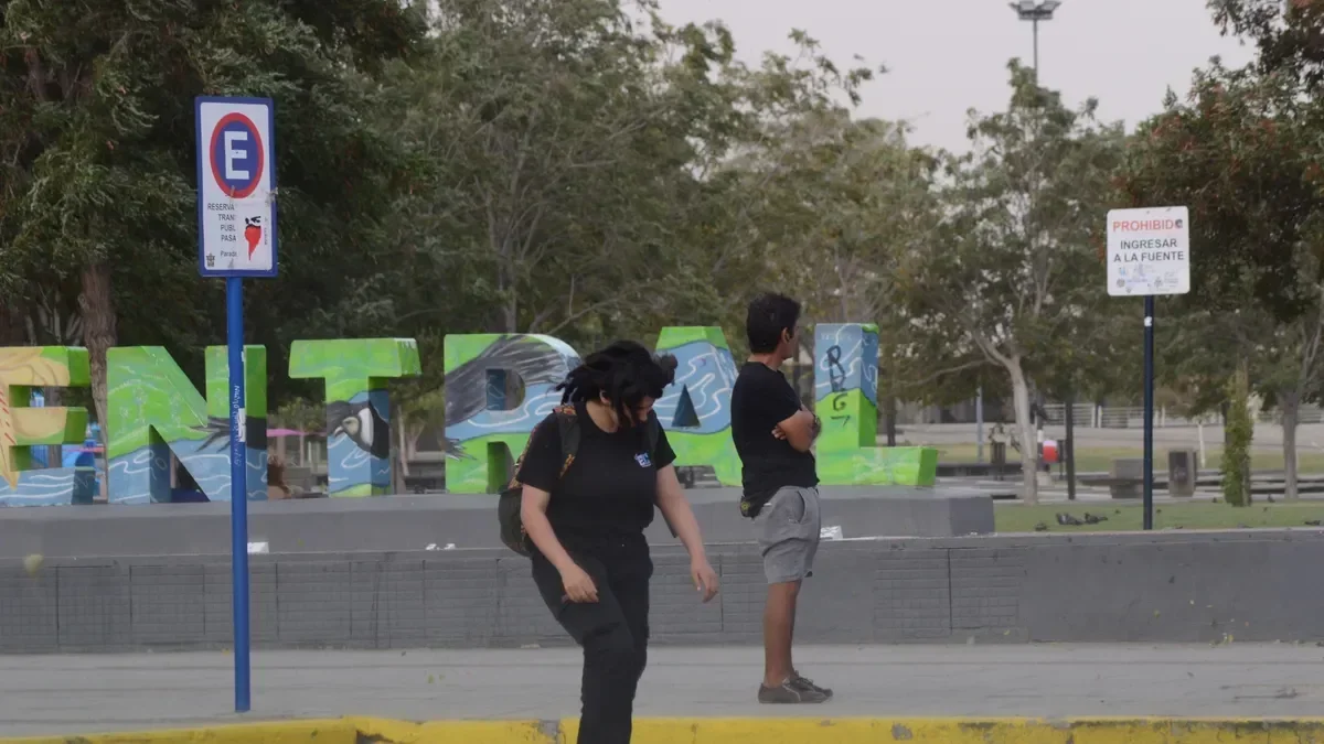 Alerta amarilla por fuertes ráfagas de viento en Neuquén: se esperan hasta 108 km/h