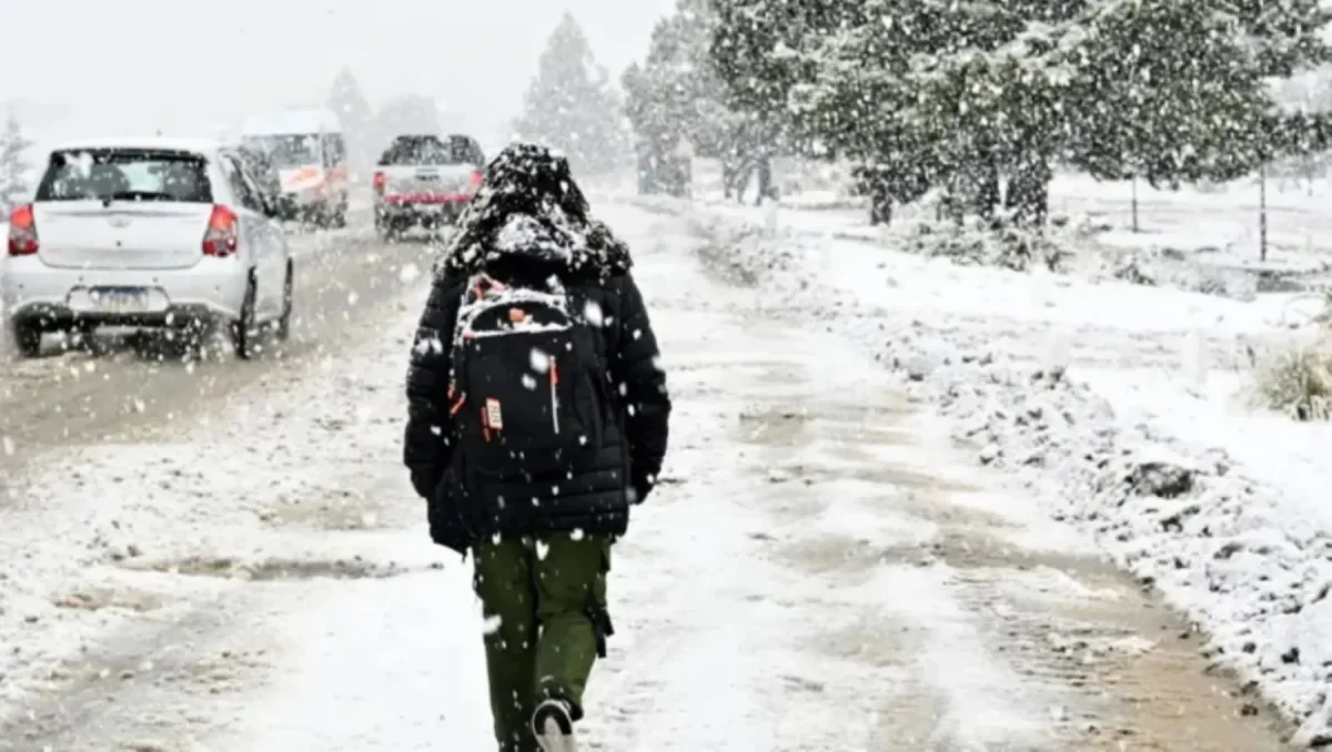Alerta meteorológica: nieve y viento fuerte afectan a Neuquén y Río Negro