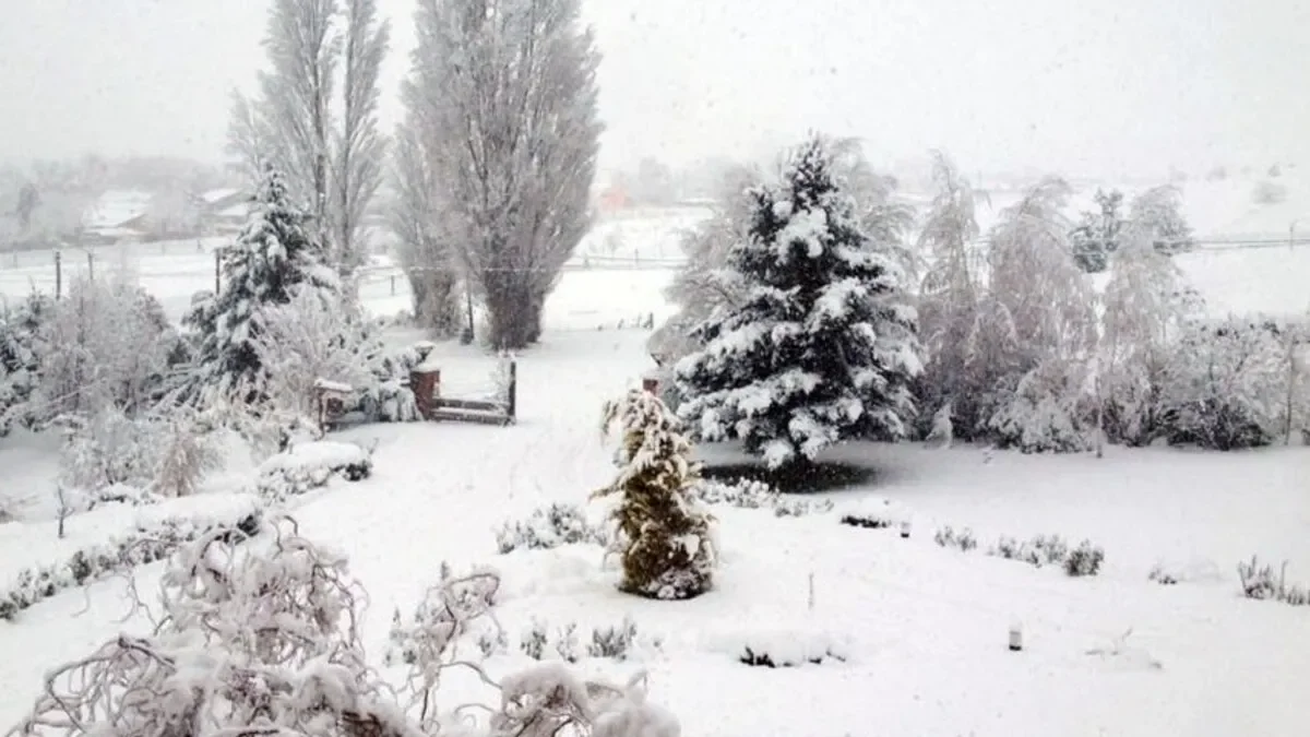 Alertan a los vecinos de Cutral Có por 24 horas de nieve ininterrumpida