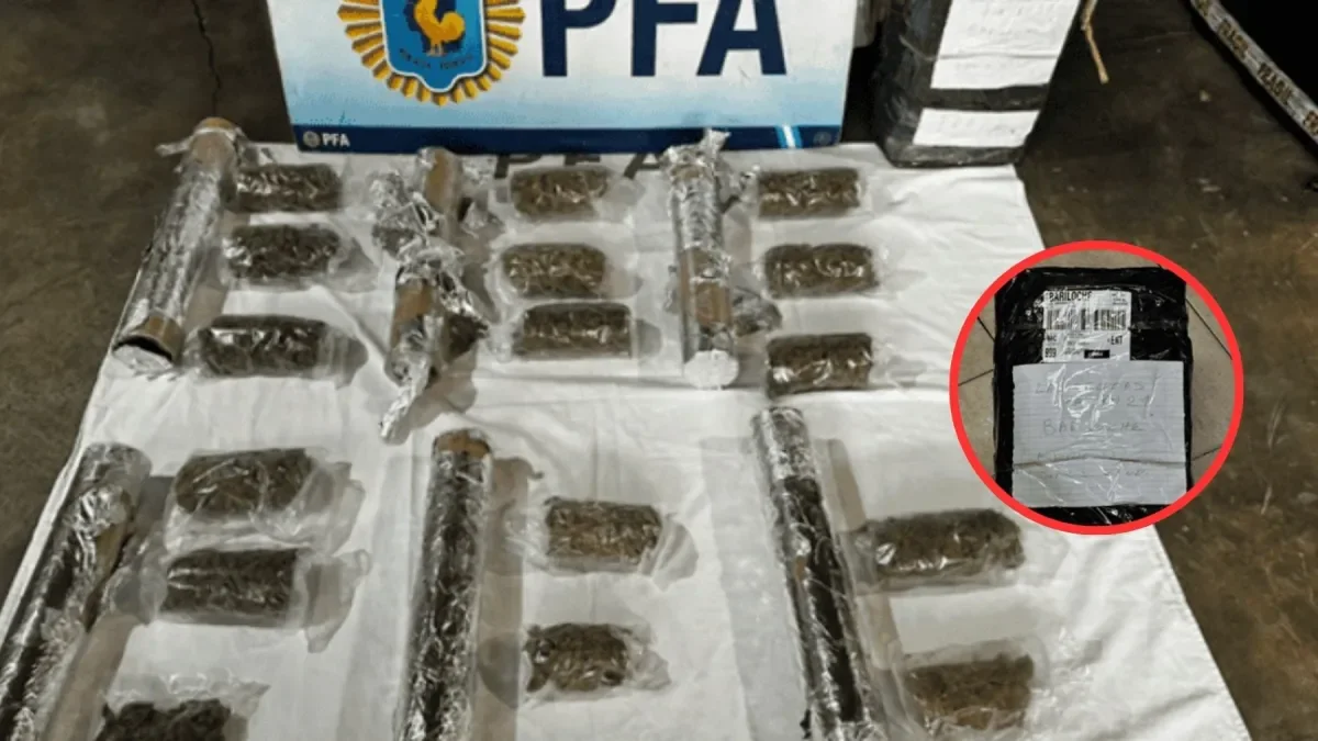 Allanamiento en Bariloche: incautan marihuana y dólares en operativo policial