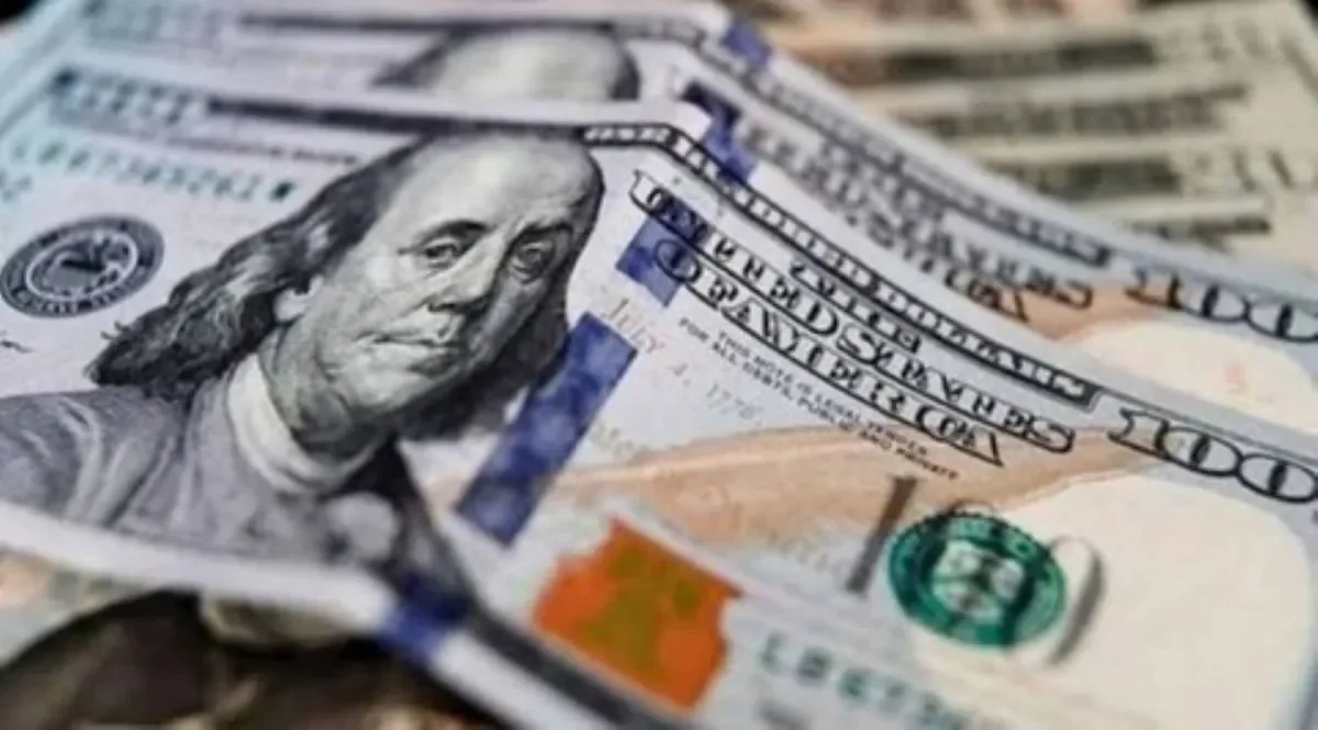 Análisis sobre el cierre de operaciones del dólar oficial y financiero en julio