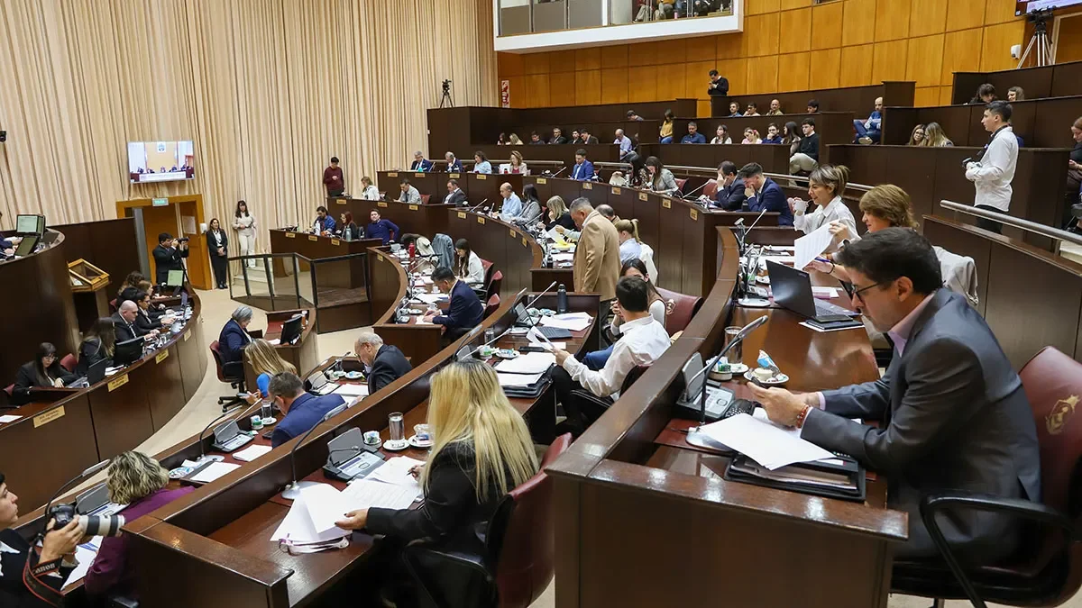 Aprobación del protocolo de narcotest en la Legislatura: implicancias para los diputados