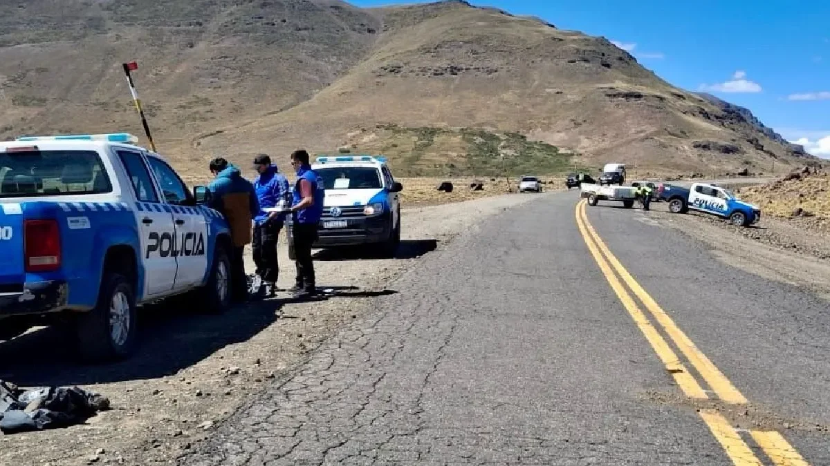 Atropellado en la ruta cerca de Caviahue: un trágico accidente deja una víctima fatal