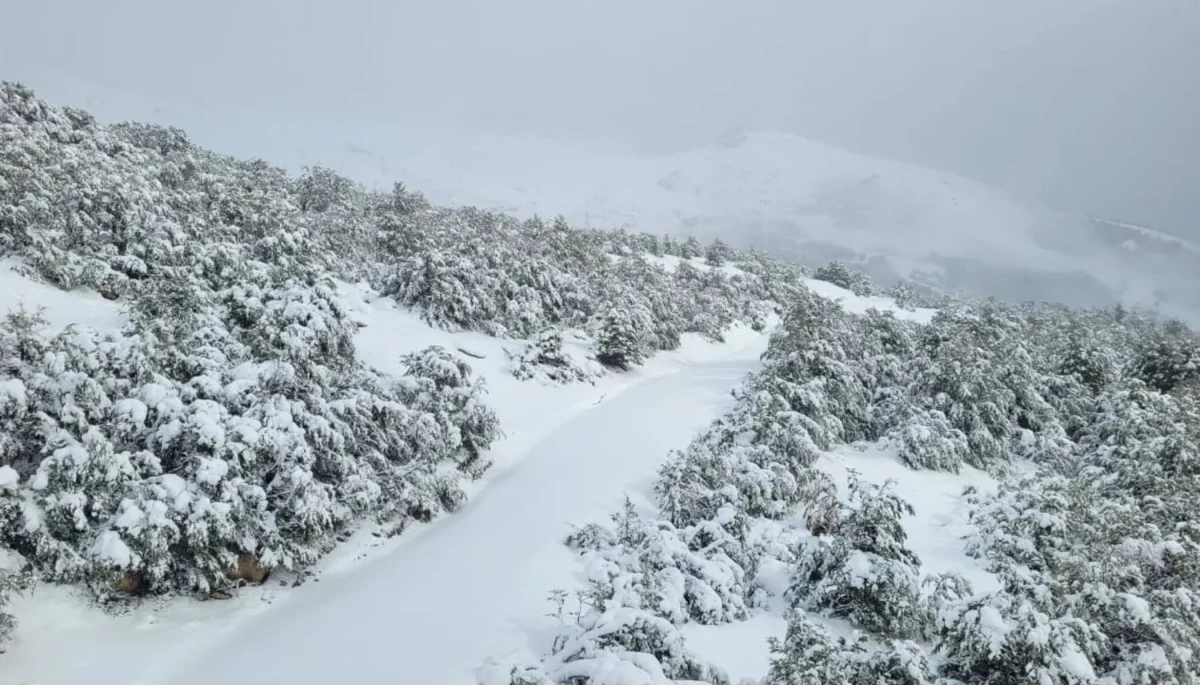 Bariloche sorprende con nevada estacional inusual en pleno verano