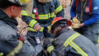 Bomberos de Centenario salvan a dos perritas en un incendio devastador