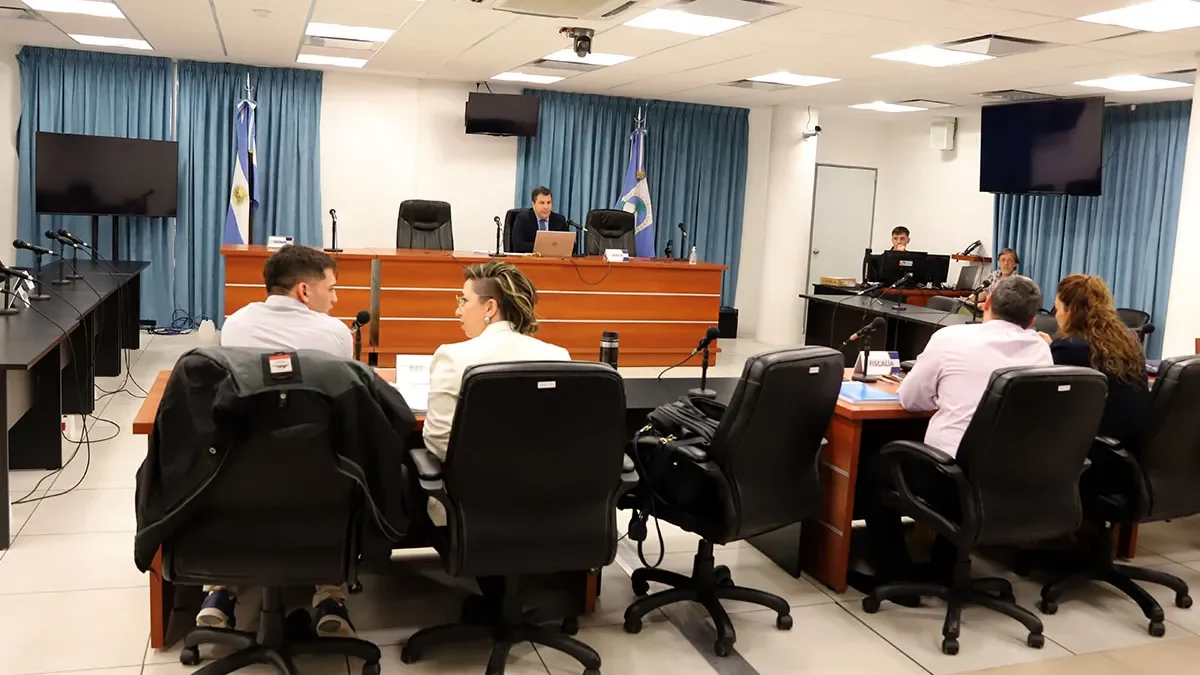 Cambios en el sistema judicial de Neuquén: implicancias para los litigantes