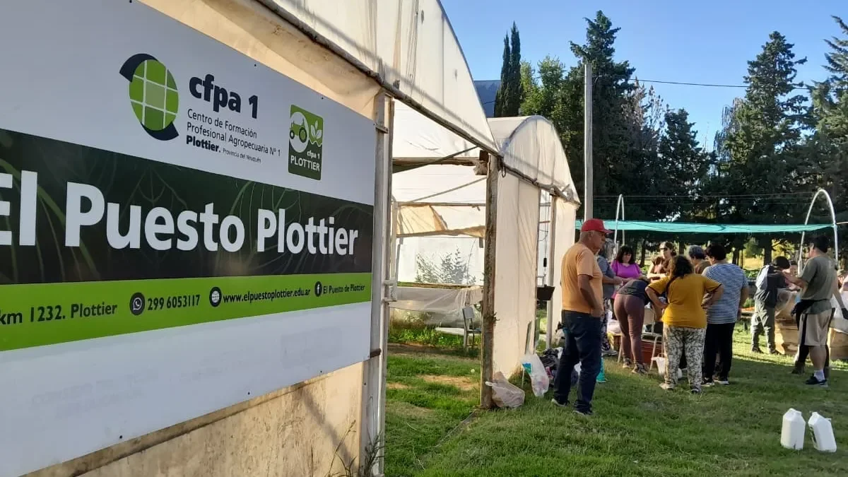 Capacitación gratuita para docentes agropecuarios en Plottier: una oportunidad de formación