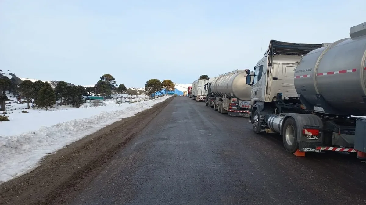 Casi 600 camiones esperan para cruzar a Chile por el paso Pino Hachado