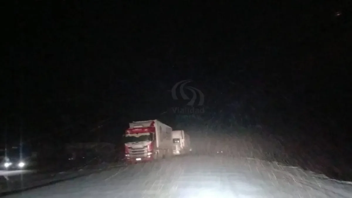 Cien camiones varados en espera de la reapertura del paso Pino Hachado por nevadas en Neuquén