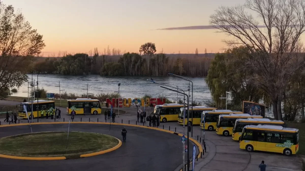 Colectivos eléctricos en Neuquén: horarios y recorridos disponibles para los usuarios