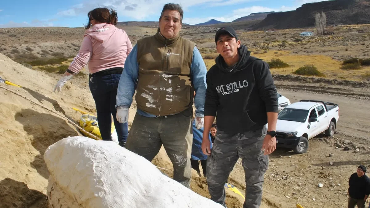 Comienza la extracción de un gliptodonte en Covunco: un hallazgo histórico para la región