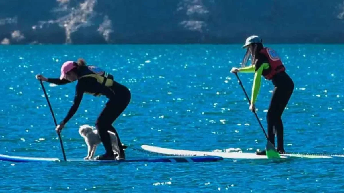 Consejos para practicar Stand Up Paddle de manera segura en Neuquén