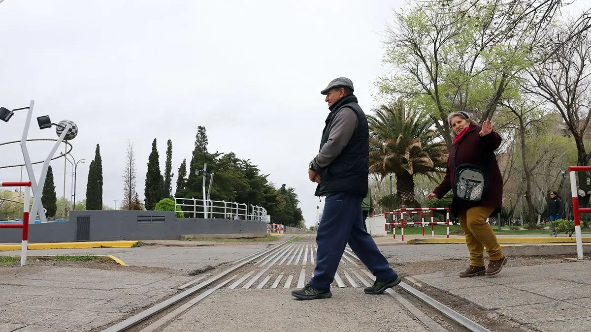 Continúan las nevadas en Neuquén: la provincia espera lluvias en los próximos días