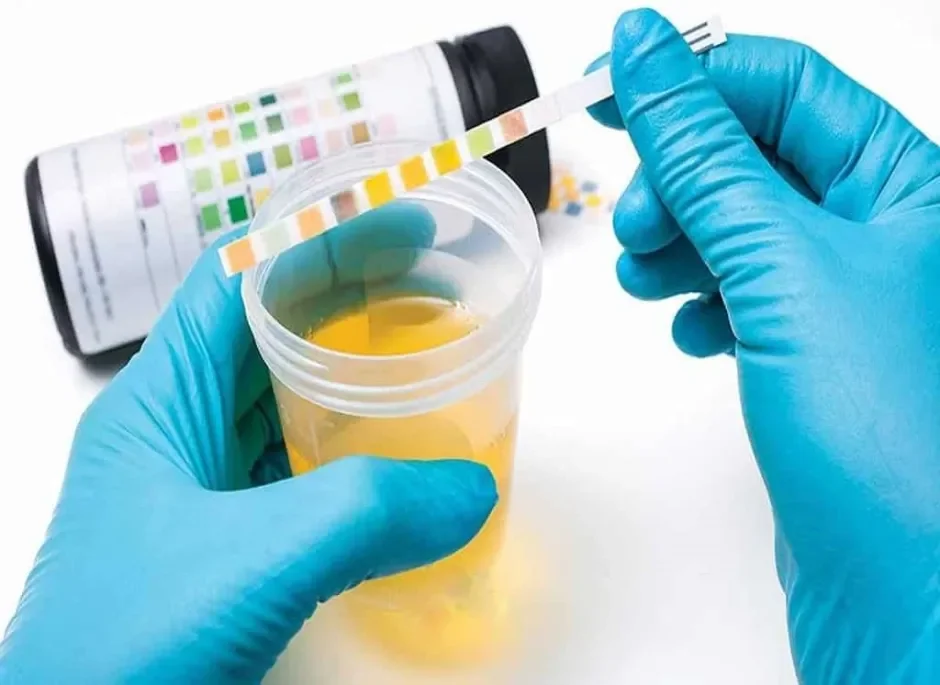 Controles toxicológicos a ministros neuquinos: una medida de transparencia en la gestión