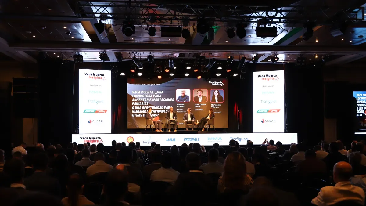 Definiciones clave sobre Vaca Muerta: Figueroa y Marín marcan el rumbo energético