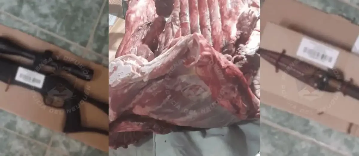 Desarticulan banda dedicada al robo de ganado en Zapala y detienen a los implicados