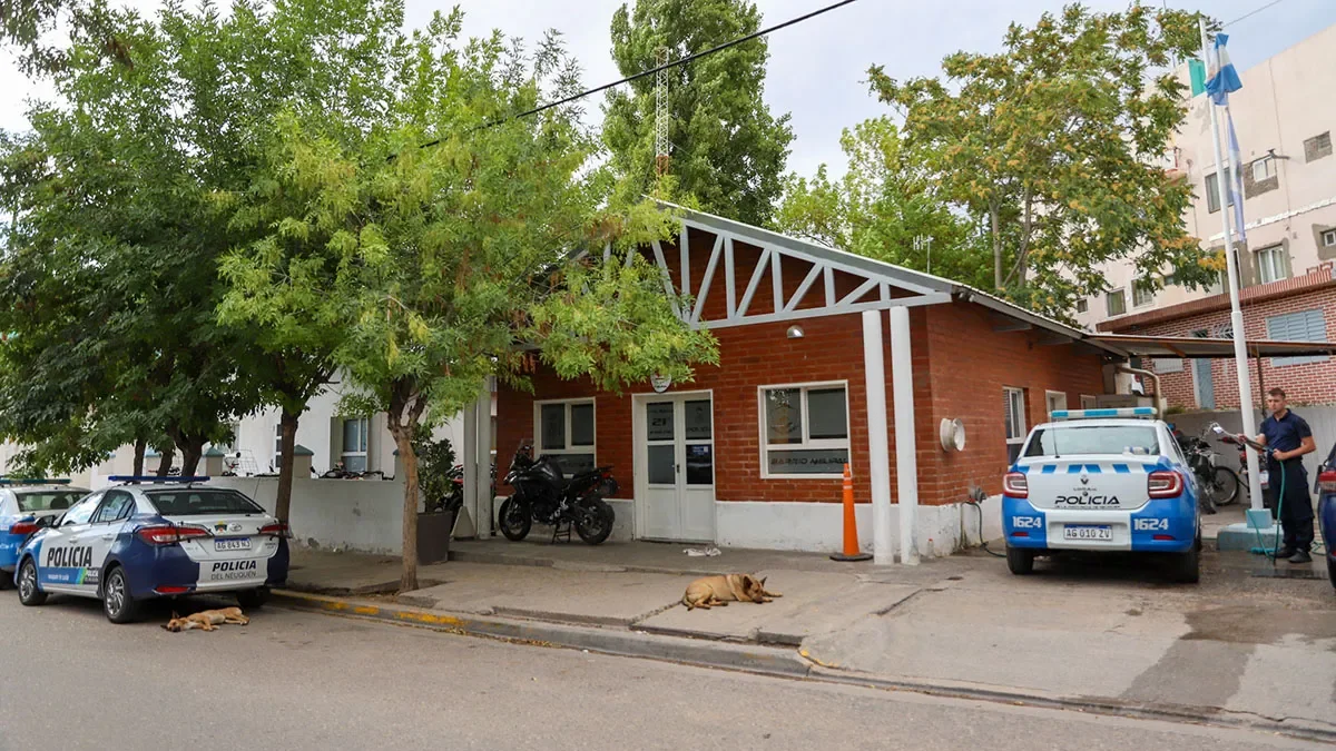 Desarticulan banda que vendía ropa robada en feria de Neuquén