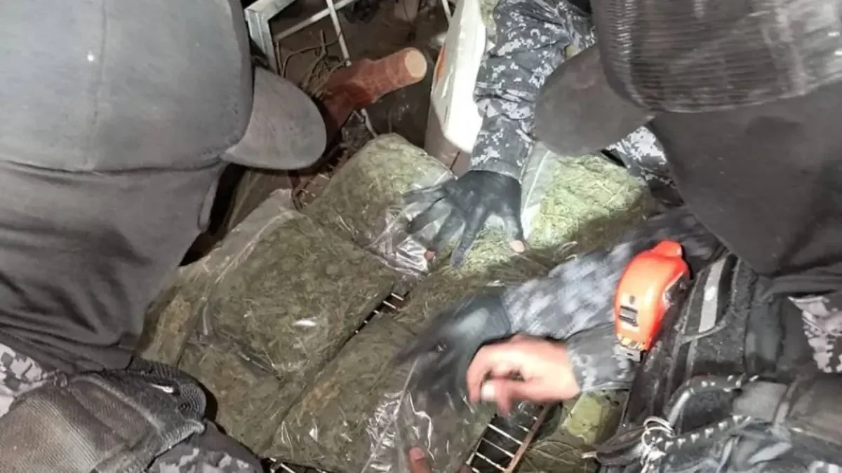 Desbaratan red de narcotráfico y secuestran drogas por $250 millones