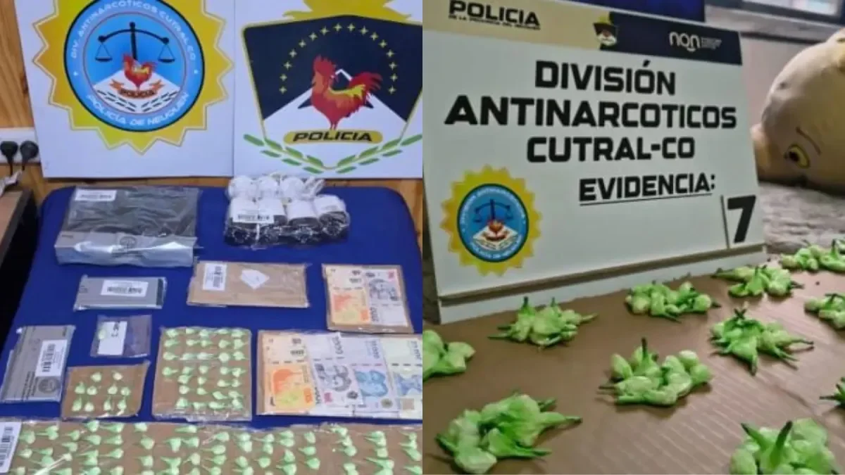 Desbaratan un punto de venta de drogas en Cutral Có y secuestran 350 dosis de cocaína