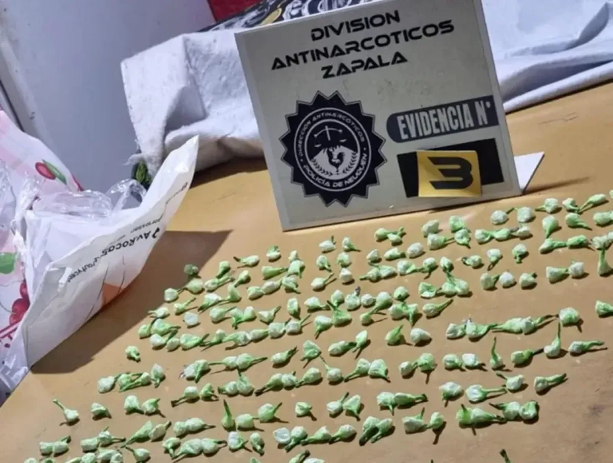 Desmantelan un operativo de narcotráfico en Cutral Có con seis detenidos y millonario decomiso