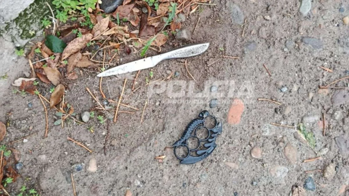 Detención de hombre en Neuquén por daños a vehículos y tenencia de arma blanca