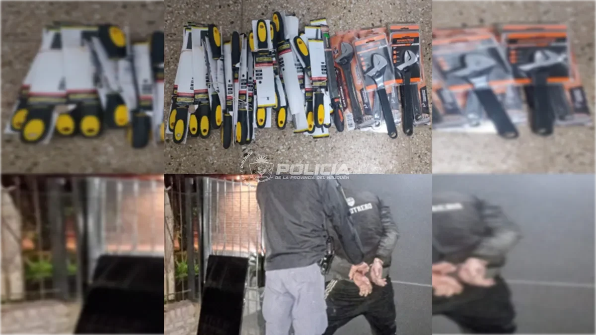 Detención de seis personas en operativo policial durante la madrugada en Neuquén