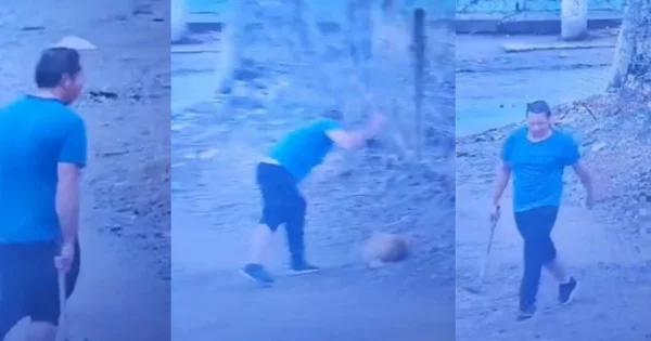 Detenido tras agredir brutalmente a un perro en Neuquén