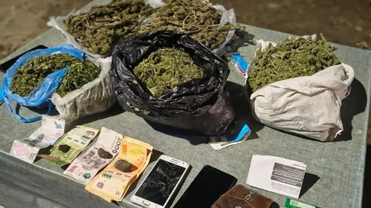 Detenidos en Ruta 22 con casi 3 kilos de marihuana en su poder