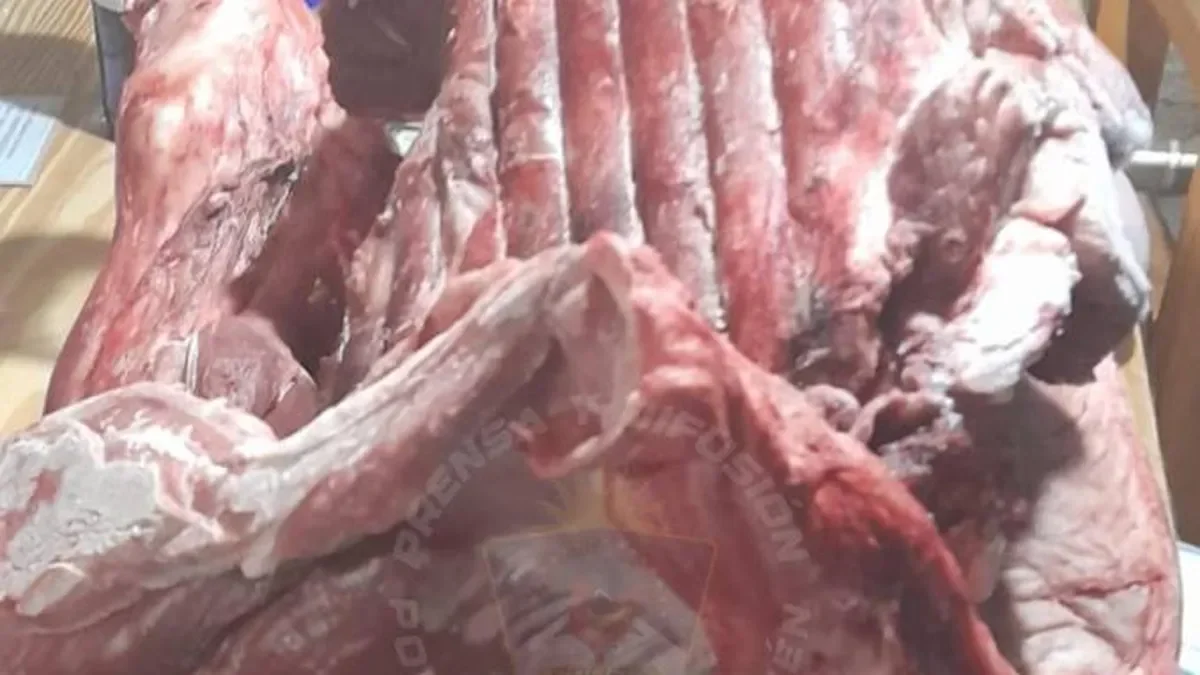 Detenidos en Zapala por intentar comercializar carne robada a través de redes sociales