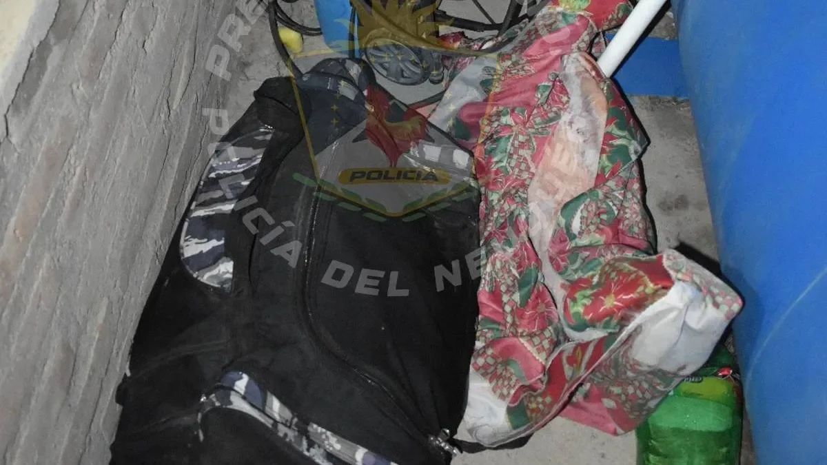Detienen a dos delincuentes intentando robar en una vivienda de Zapala