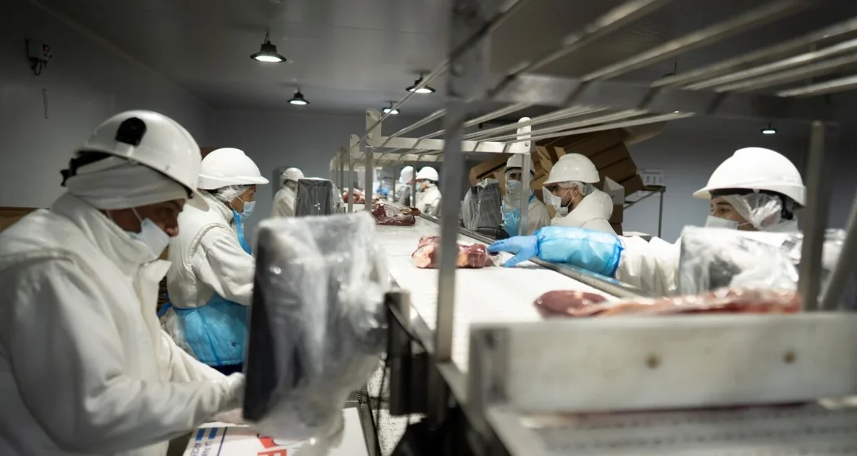 El campo y la minería impulsan el empleo en Neuquén y la región de Vaca Muerta