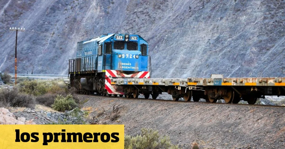 El tren a Vaca Muerta: una estrategia estatal para atraer inversiones energéticas