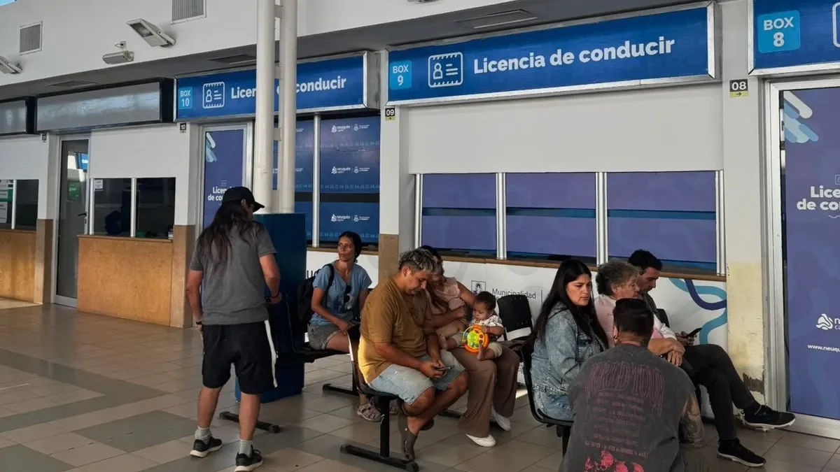 Escándalo por licencias de conducir truchas: la trama ilegal que sacude a Neuquén