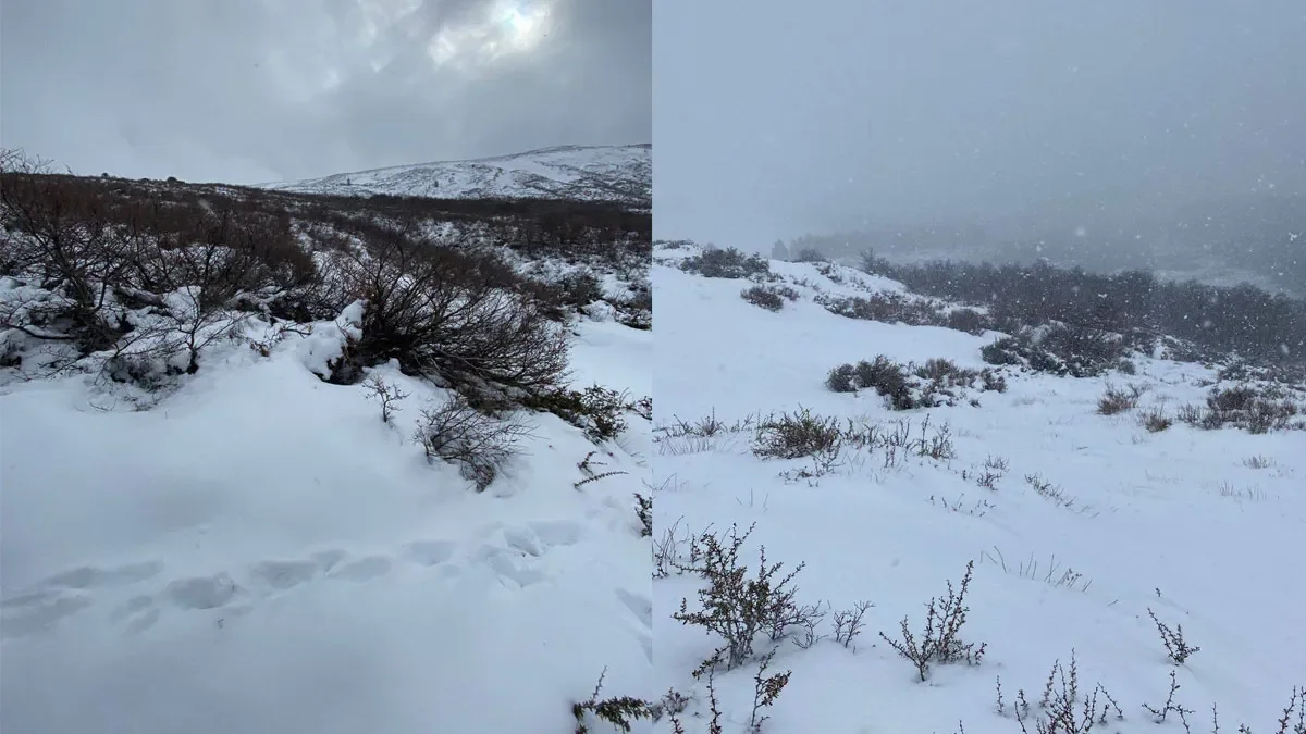 Estado de las rutas en la cordillera: impacto de la llegada de la nieve en Neuquén