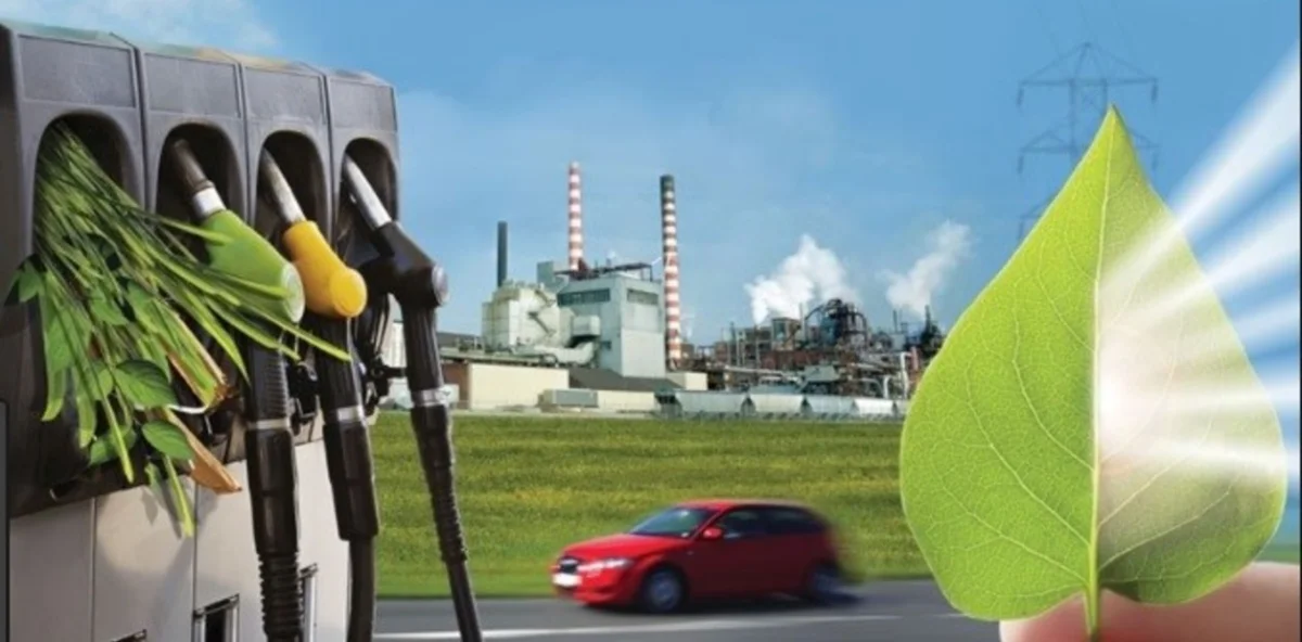 Estrategia Vaca Viva y Vaca Muerta: un plan para fortalecer la economía argentina