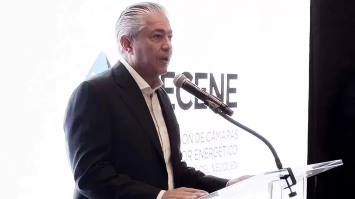 Figueroa resalta la influencia de Vaca Muerta en la economía argentina actual