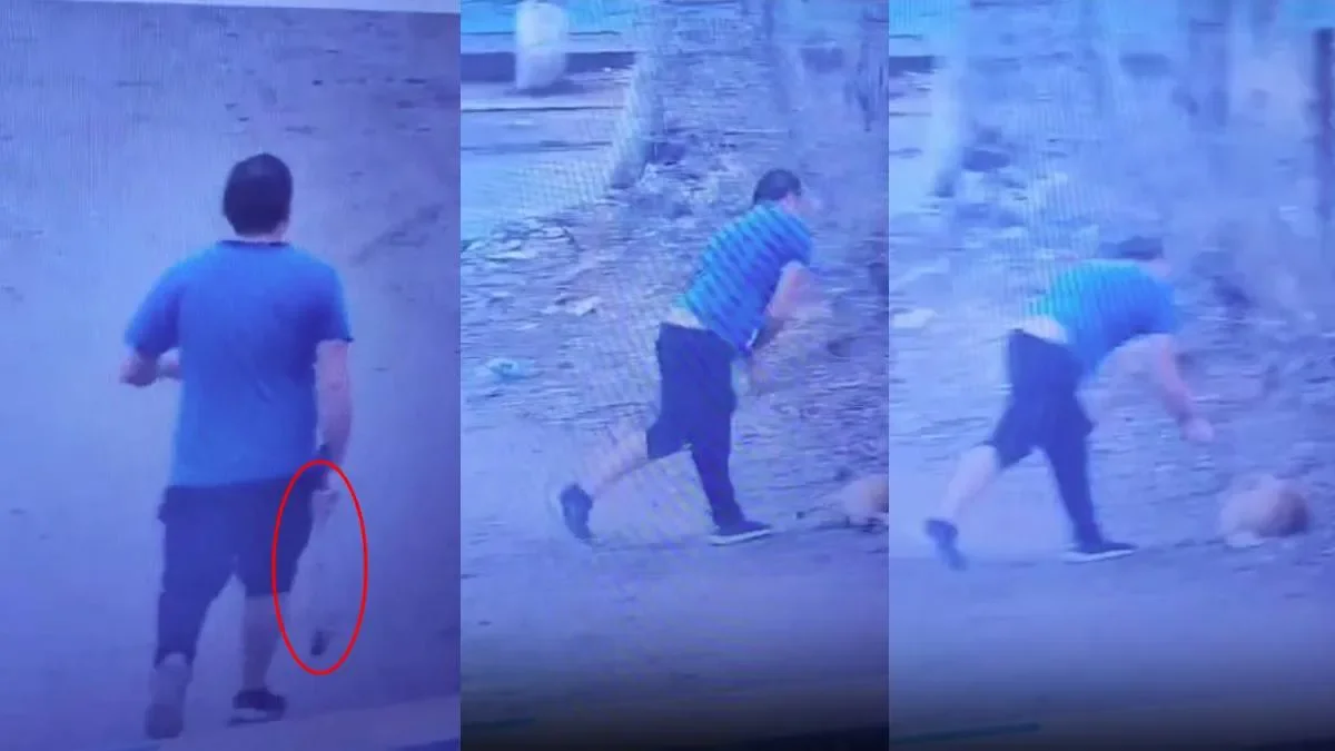 Hombre condenado a trabajo comunitario por golpear brutalmente a un perro