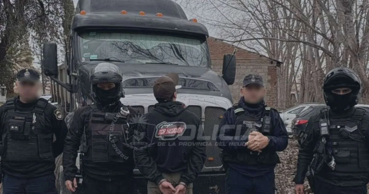 Intercepción de camión con pedido de secuestro en Plottier: conductor demorado