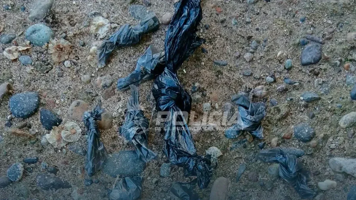 Intervención policial en Zapala: recuperan celular robado y drogas en la calle