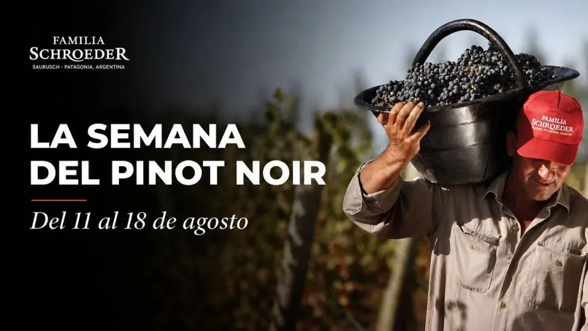 La celebración del Pinot Noir en Neuquén promete vinos y experiencias únicas para los amantes del vino