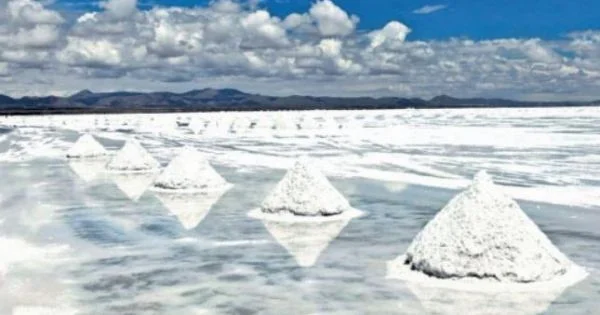 La minería en Argentina crece un 4,6% impulsada por Vaca Muerta y el litio