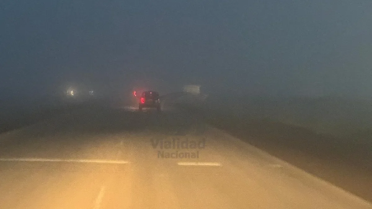 La neblina en Neuquén provoca problemas de visibilidad: pronóstico del tiempo actualizado