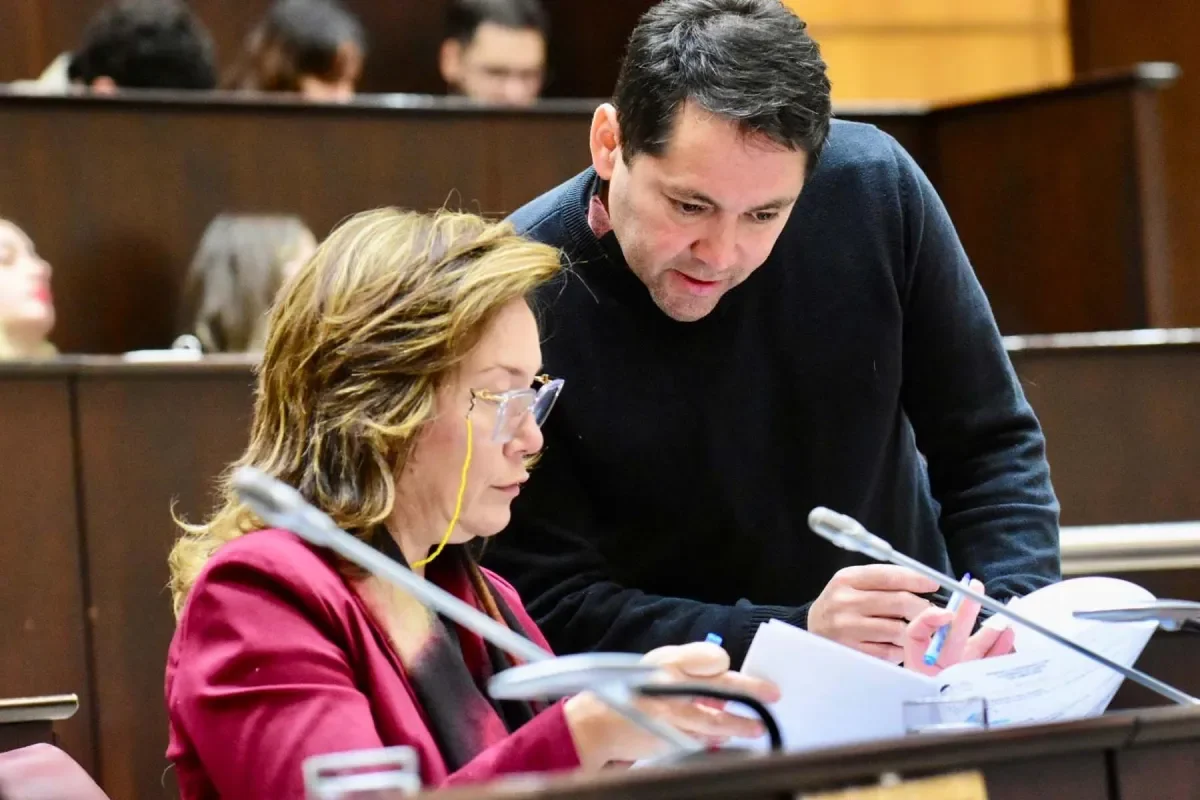 La oposición critica la renuncia de Bertolini en Plottier y llama a la unidad para las elecciones