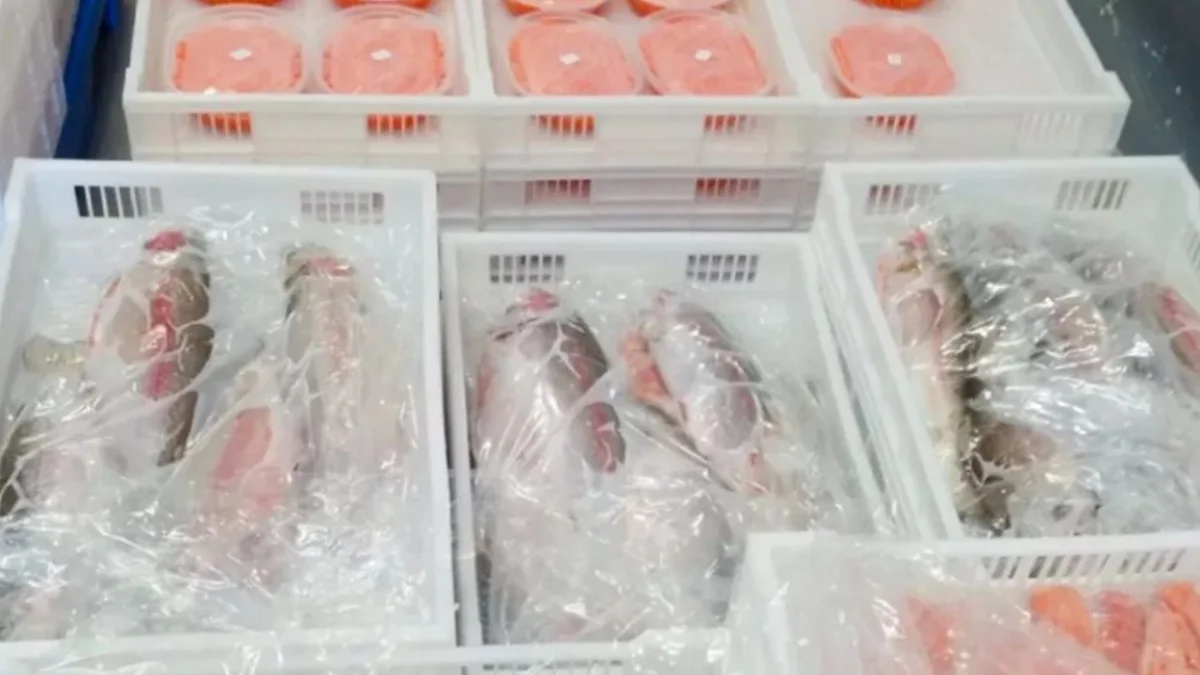 La trucha de Neuquén gana reconocimiento en mercados internacionales