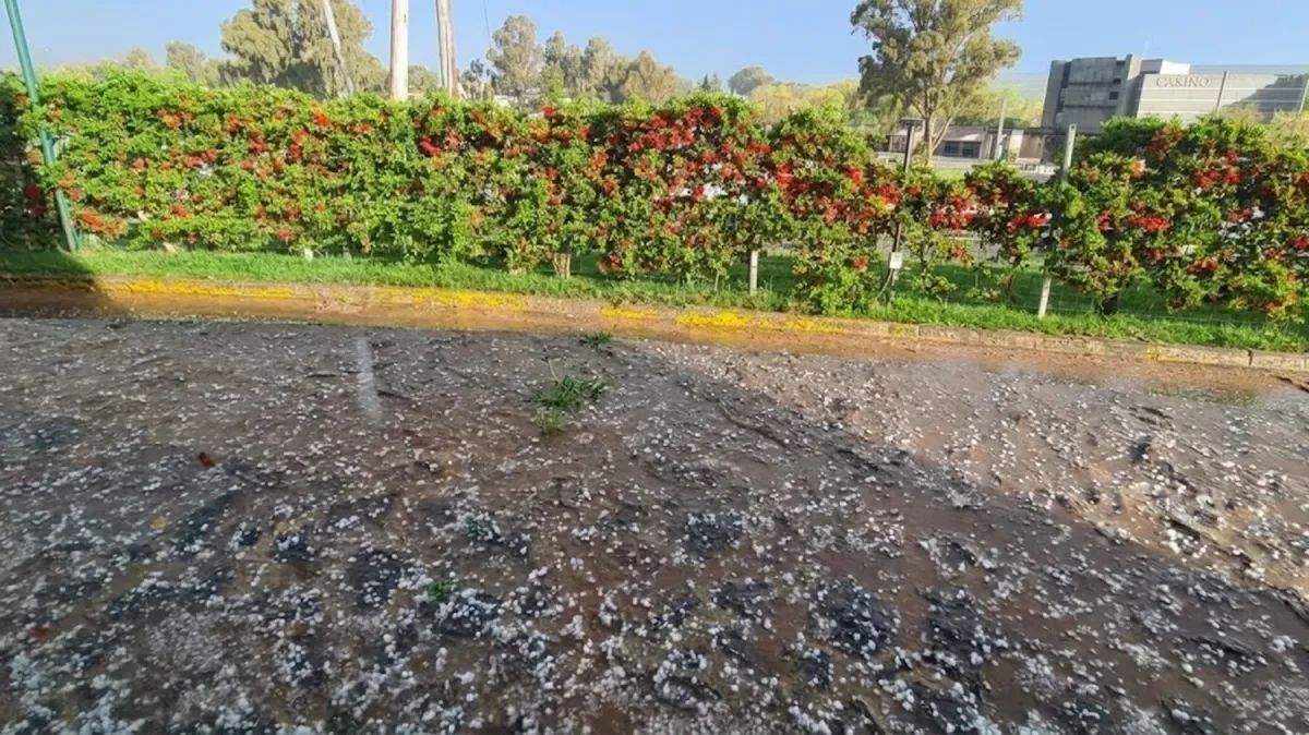 Los efectos devastadores de la lluvia y el granizo en Vaca Muerta este miércoles