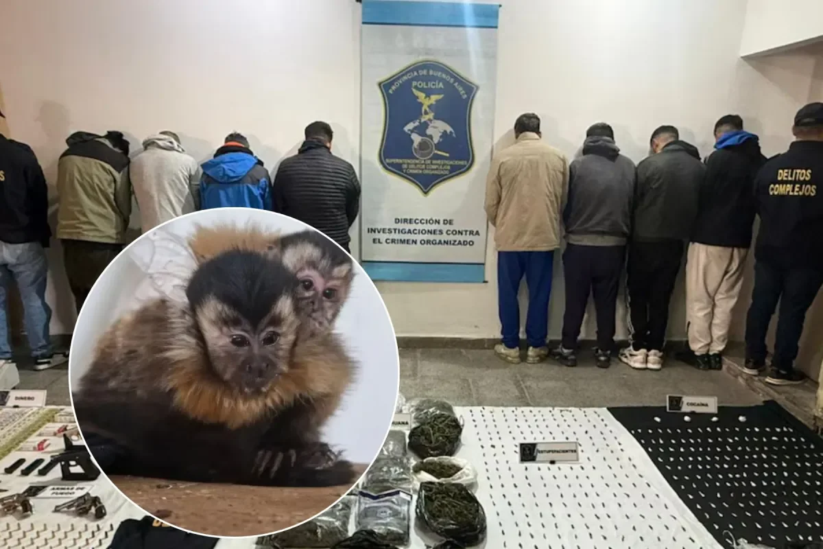 Megaoperativo en Mar del Plata: hallan drogas y armas en 30 allanamientos