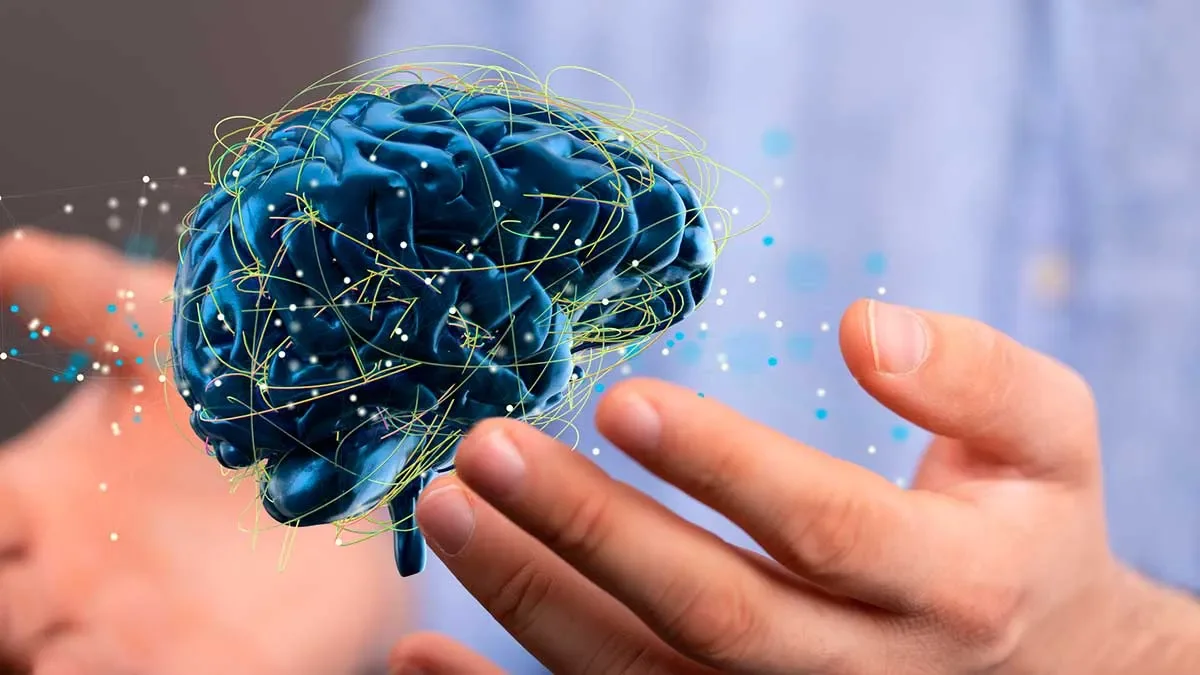 Mendoza acogerá un evento internacional sobre avances en neurociencia