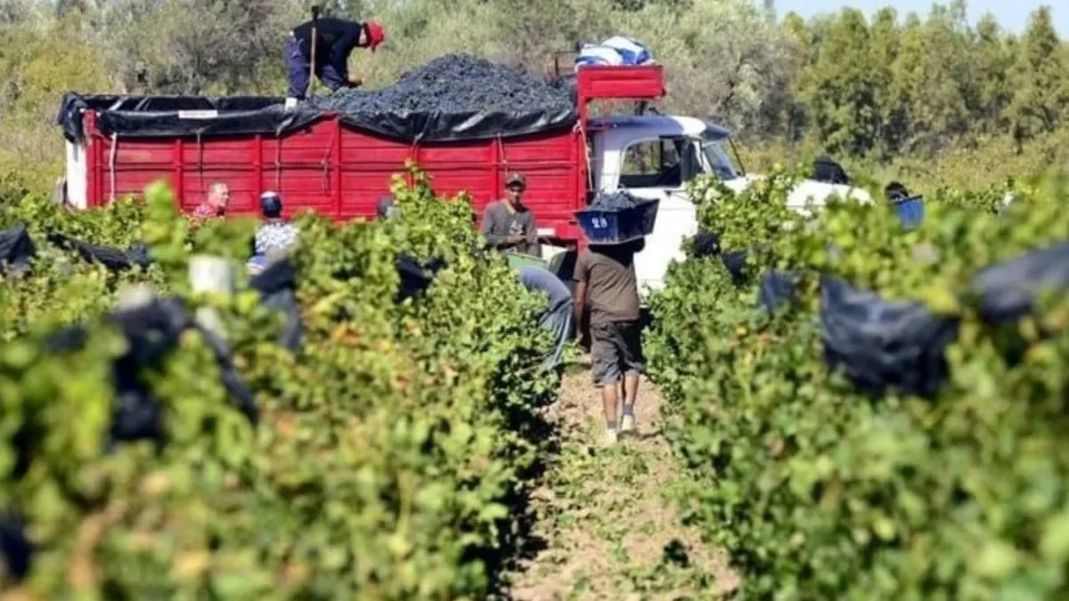 Mendoza busca alternativas para mejorar su economía: la mirada en Vaca Muerta y la Pampa Húmeda
