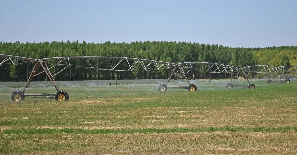 Neuquén amplía su superficie regada en 5.000 hectáreas para potenciar la agricultura